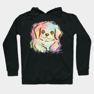 Retriever graffiti Hoodie